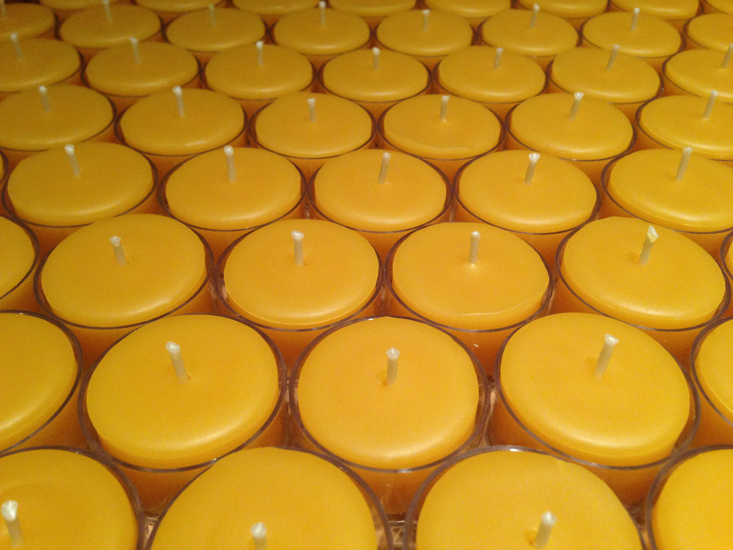 Tealights