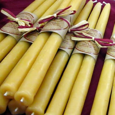 Side view of beeswax taper candles, 8-inch pair